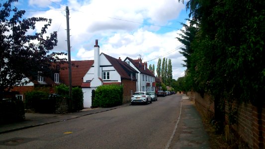 2020-07-24_Whaddon_photo_number_21