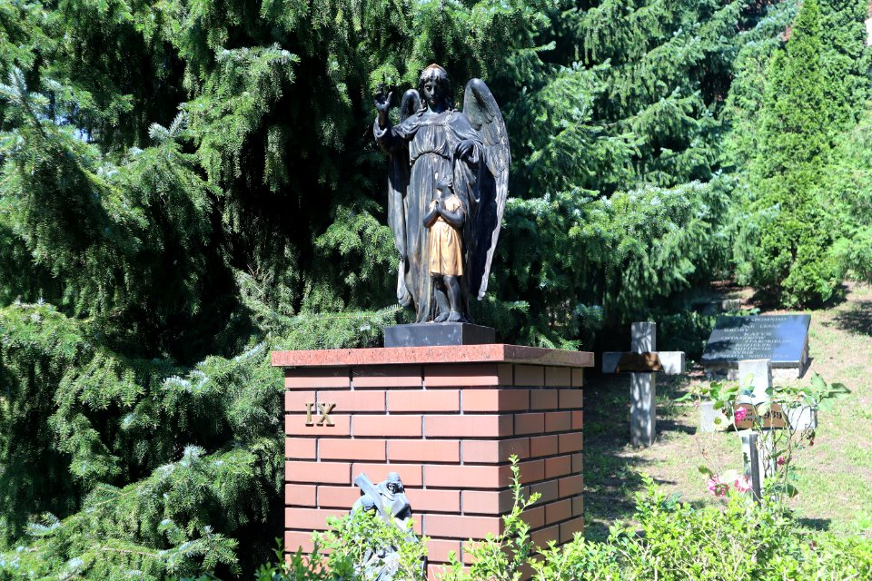 2020_Warszawa-Płudy_teren_parafii_Narodzenia_Najświętszej_Maryi_Panny_w_Warszawie,_1