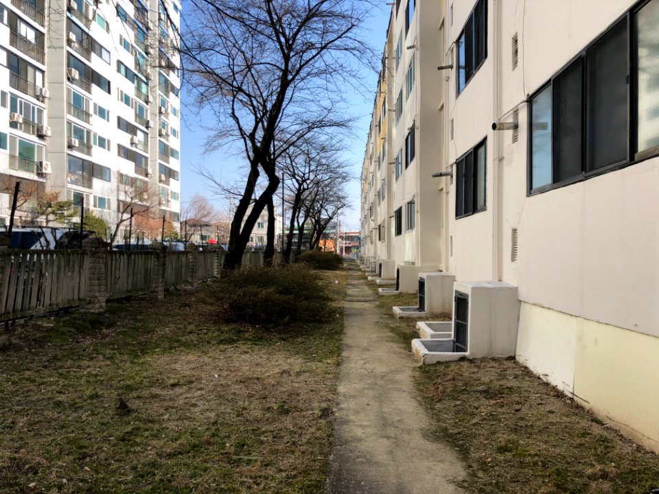2020-03-08_10.54.36_명륜은행아파트