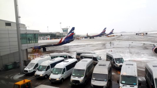 20190221_161130_sheremetyevo_airport_february_2019