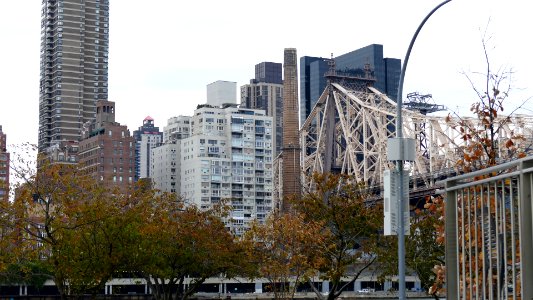 2019.11.05.154839_Queensboro_Bridge_Roosevelt_Island_New_York_City