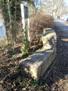 20190227Burg_Eichelsheim2