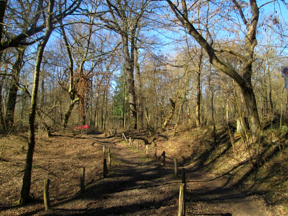 20190227Waldpark_Mannheim2