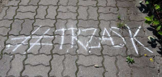 2020_Warszawa_Kobiałka,_agitacja_wyborcza,_1