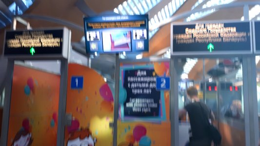 20190218_120232_Sheremetyevo_Airport_terminal_D_February_2019