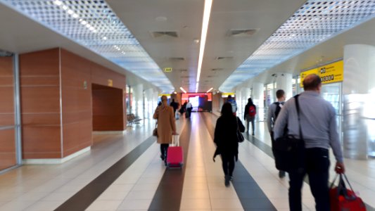 20190218_115859_Sheremetyevo_Airport_terminal_D_February_2019