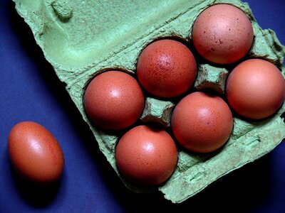 Food egg box brown eggs