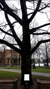 20191225_095555_December_2019_in_Vilnius