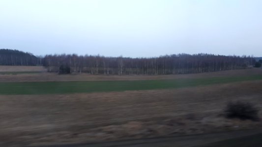 20190228_171924_Lands_of_Lodz_Voivodeship_February_2019
