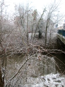 20190111Kraichbach_Hockenheim3