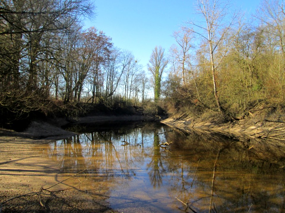 20190227Reißinsel3