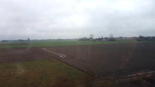 20190113_105541_Rural_landscapes_in_Greater_Poland_Voivodeship,_January_2019