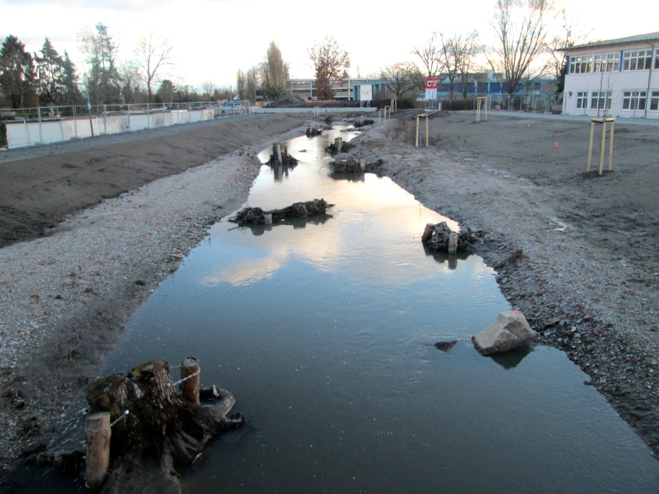 20190117Kraichbach_Hockenheim