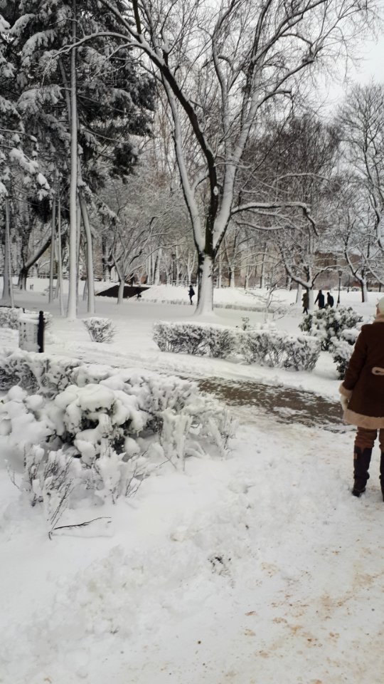 20190204_153210_Park_Staromiejski_w_Łodzi_february_2019
