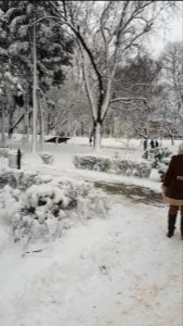 20190204_153210_Park_Staromiejski_w_Łodzi_february_2019