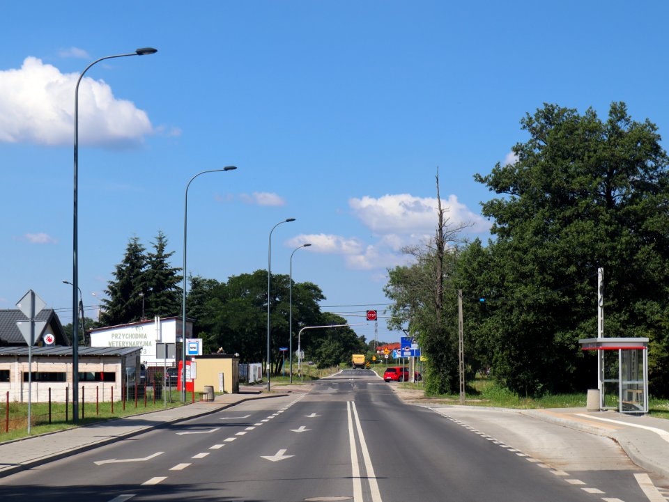 2020_Warszawa_Zdziarska,_1