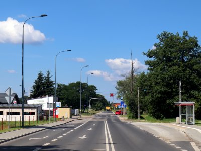 2020_Warszawa_Zdziarska,_1