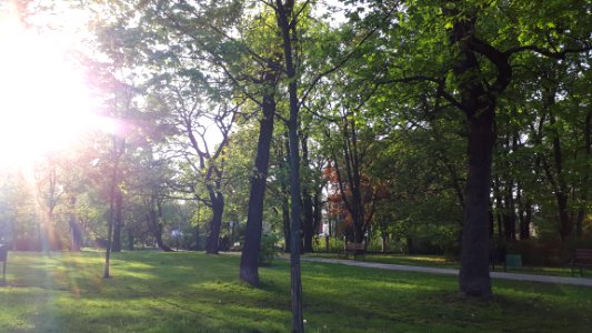 20190430_182626_Park_Kilinskiego,_Lodz
