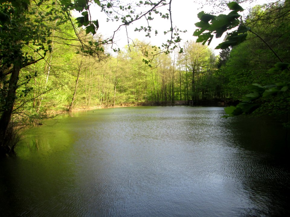 20190422Gouvysweiher1