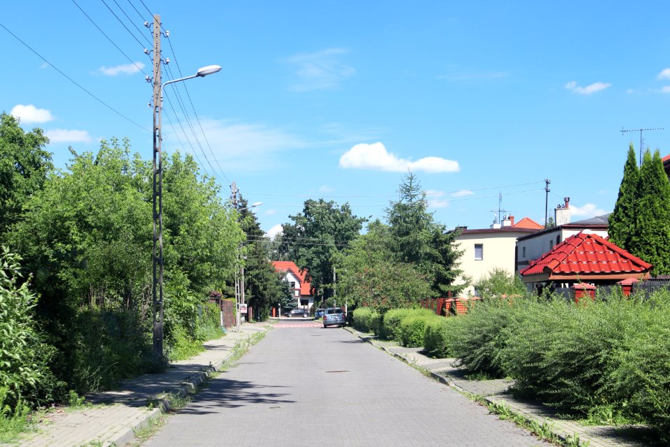 2020_Warszawa_Połączona