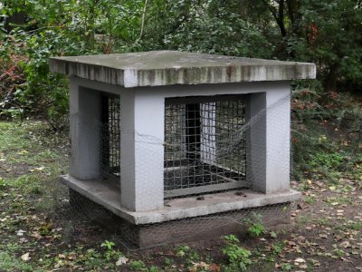 2020_Warszawa_schron-grzybek_na_Muranowie,_1