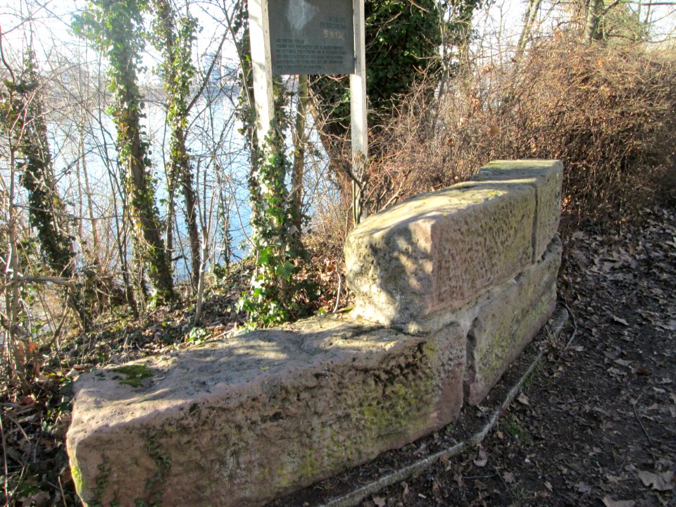 20190227Burg_Eichelsheim1