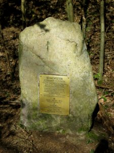 20190422Schachtstein