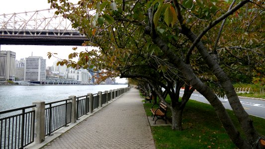 2019.11.05.155247_Queensboro_Bridge_Roosevelt_Island_New_York_City