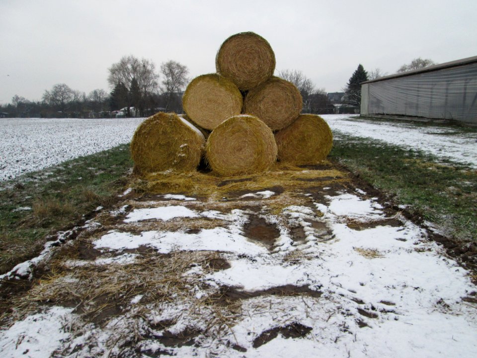 20190103Hockenheim2