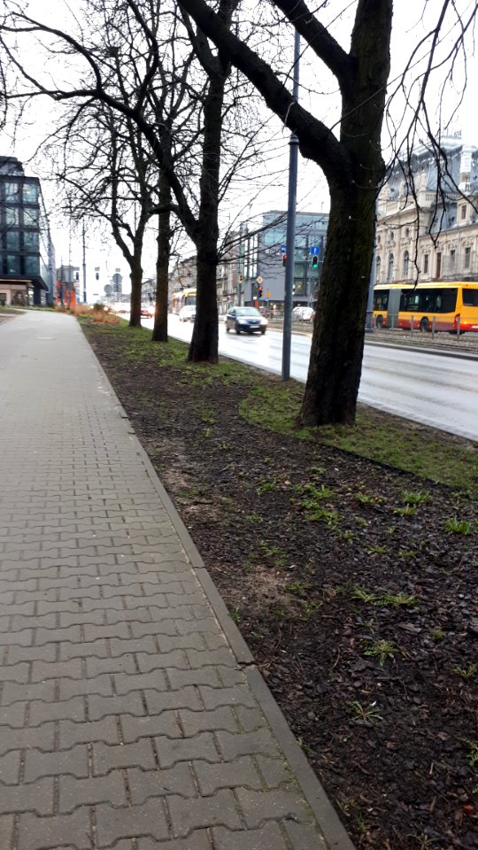20190326_zachodnia-march_2019_lodz