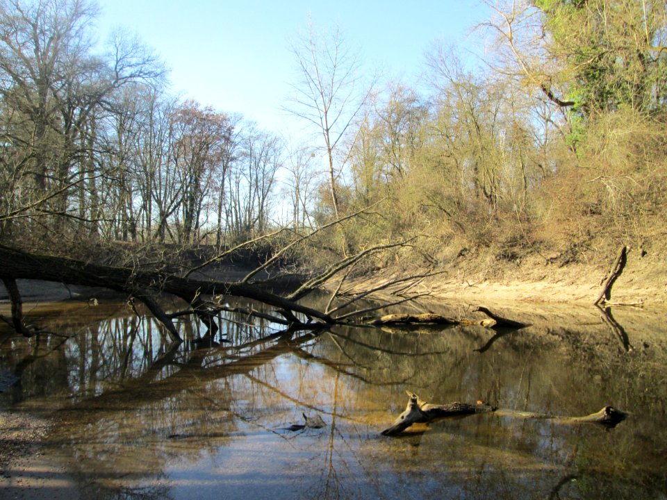 20190227Reißinsel2