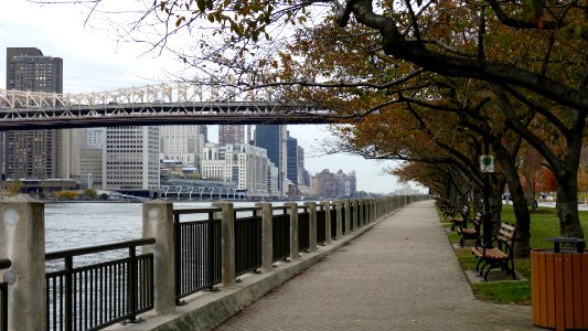 2019.11.05.153509_East_River_Roosevelt_Island_New_York_City