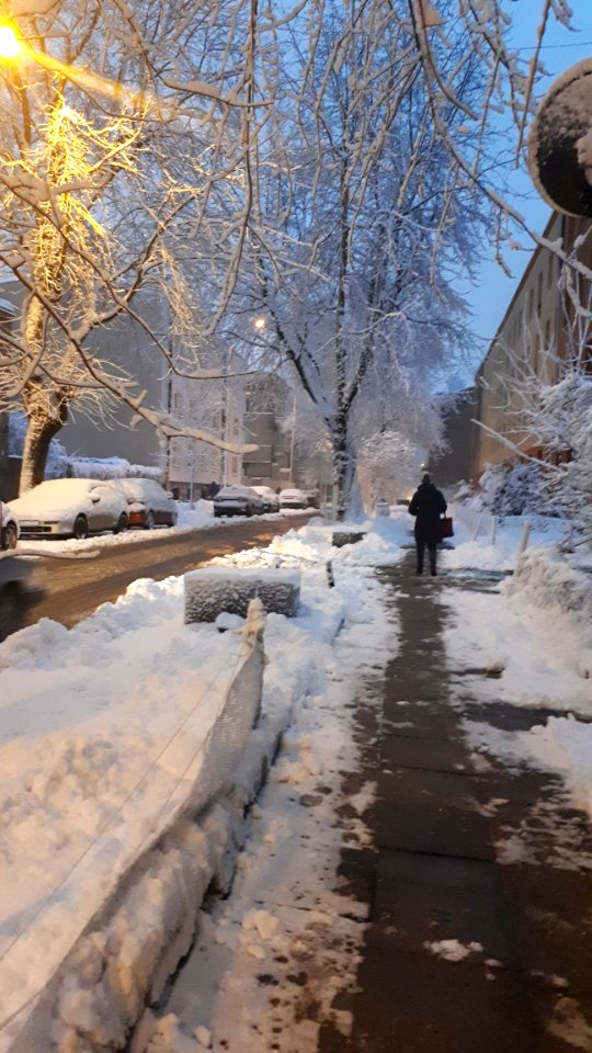 20190204_065751_lodz