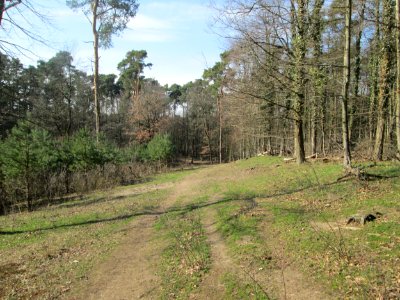 20190228Feldherrenhügel1