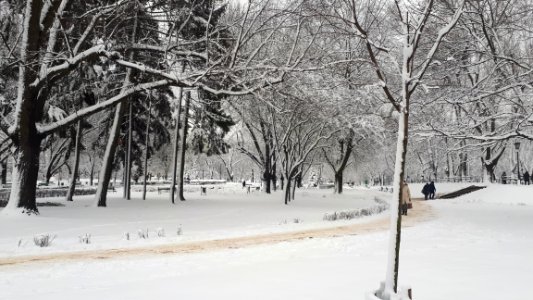 20190204_153246_park_staromiejski_lodz