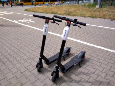 2019_Warszawa_hulajnogi_Bird