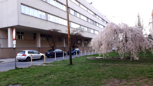 20190412_mswia_hospital_lodz_ul._Dwernickiego
