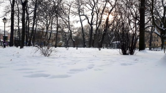 20190112_094052_krakow_january_2019