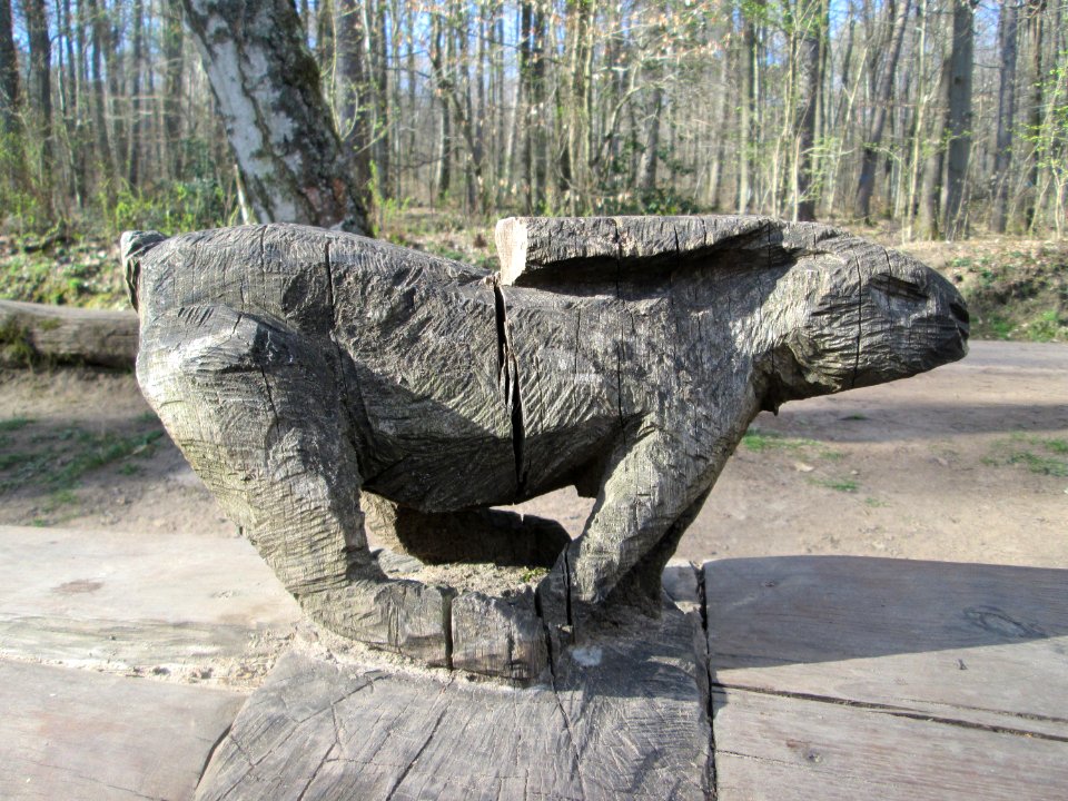 20190330Wildpark_Saarbrücken