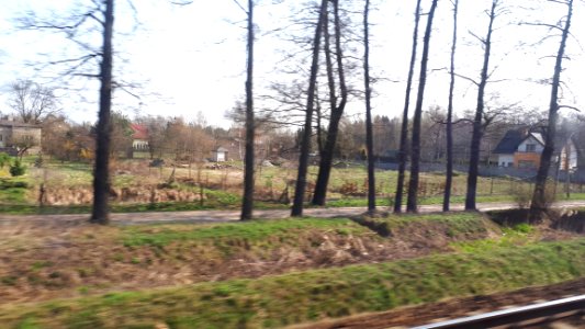 20190407_lodz_wojewodztwo
