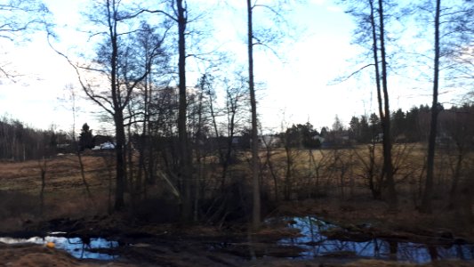 20190312_161852_Masovian_Voivodeship_March_2019