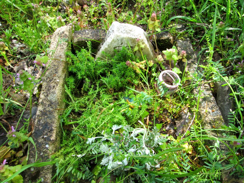 20190428Tierfriedhof2