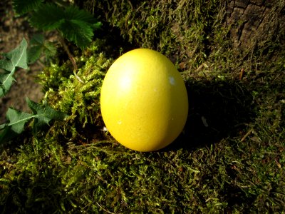 20190422Osterei