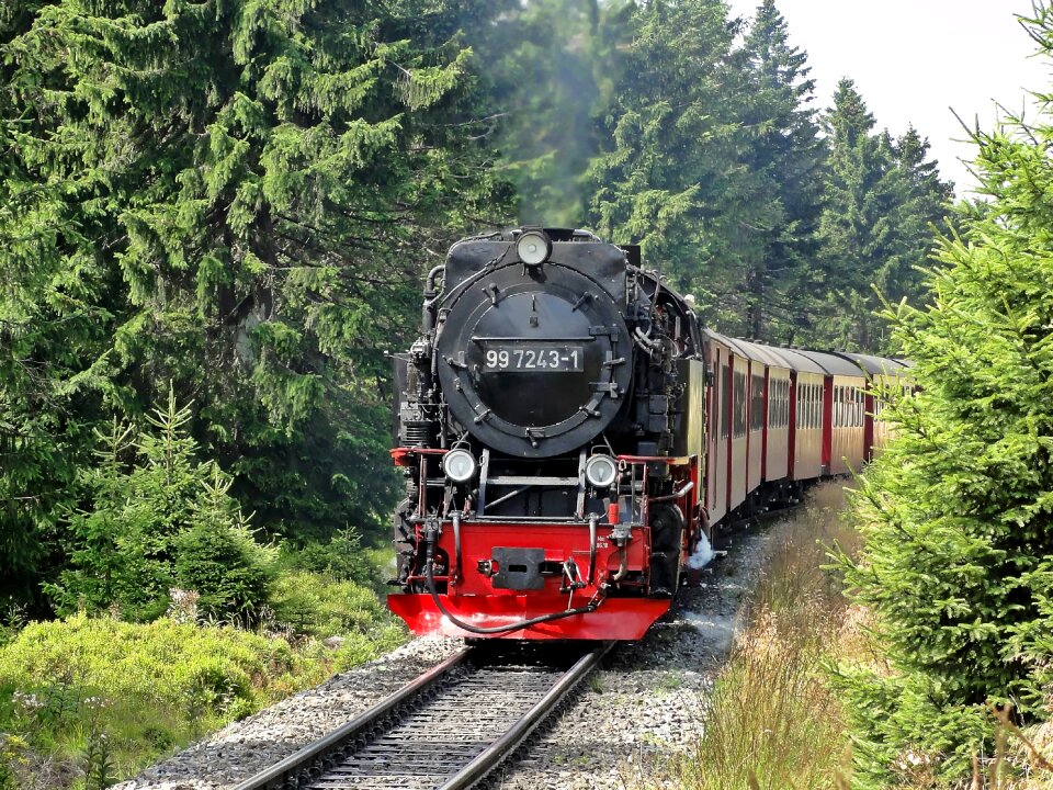 Nostalgic train narrow gauge train
