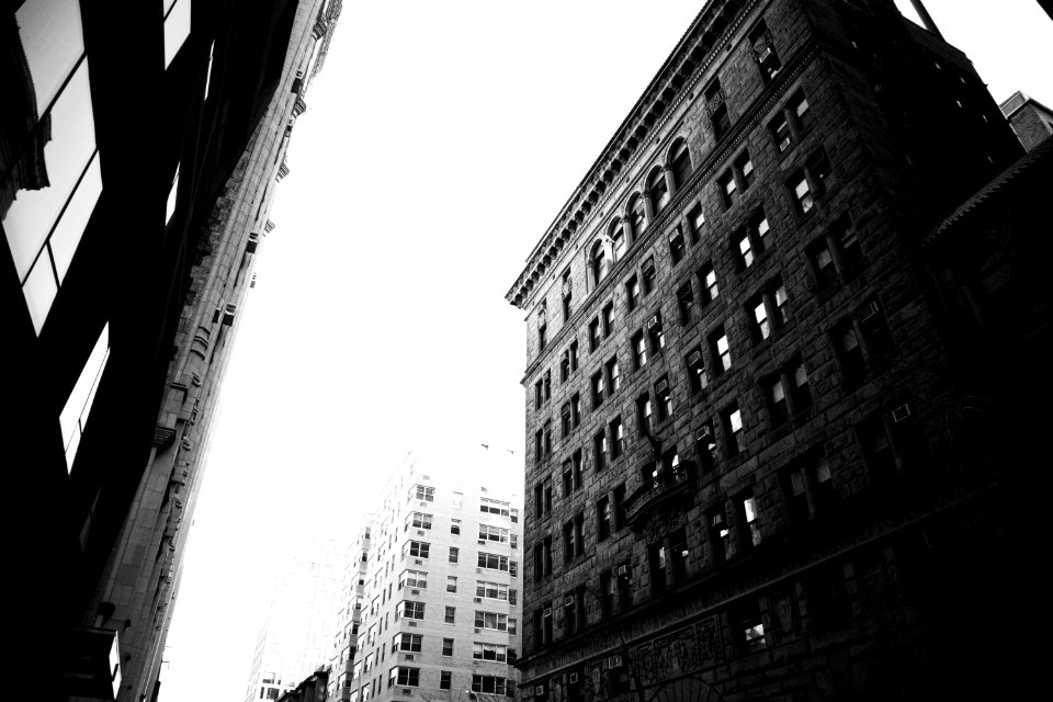 20190309_new_york_city_jpeg2_2
