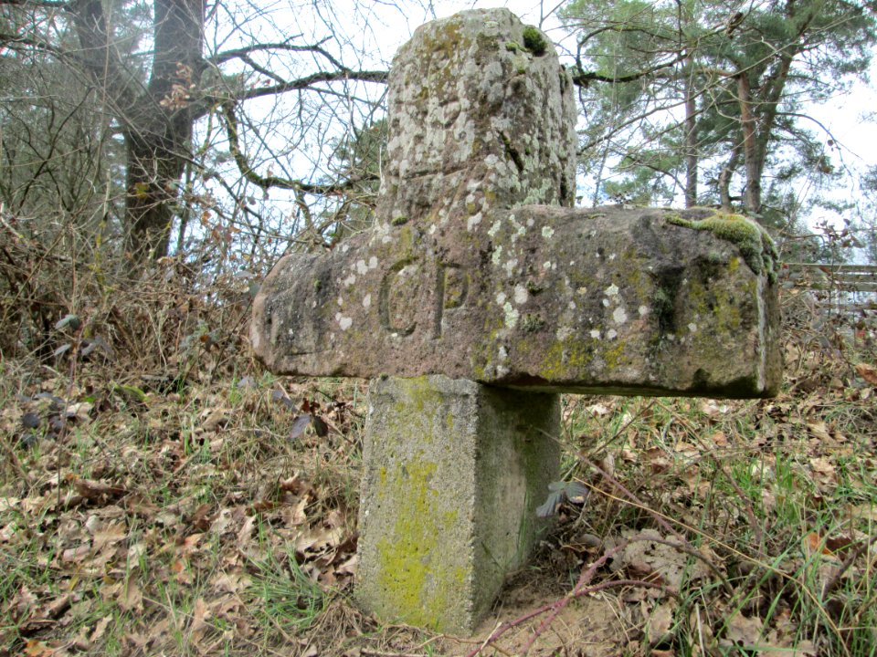 20190313_Herzogkreuz_1