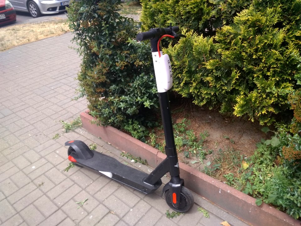 2019_Warszawa_hulajnoga_Bird