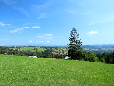 2019_Gubałówka,_widok_ze_szlaku