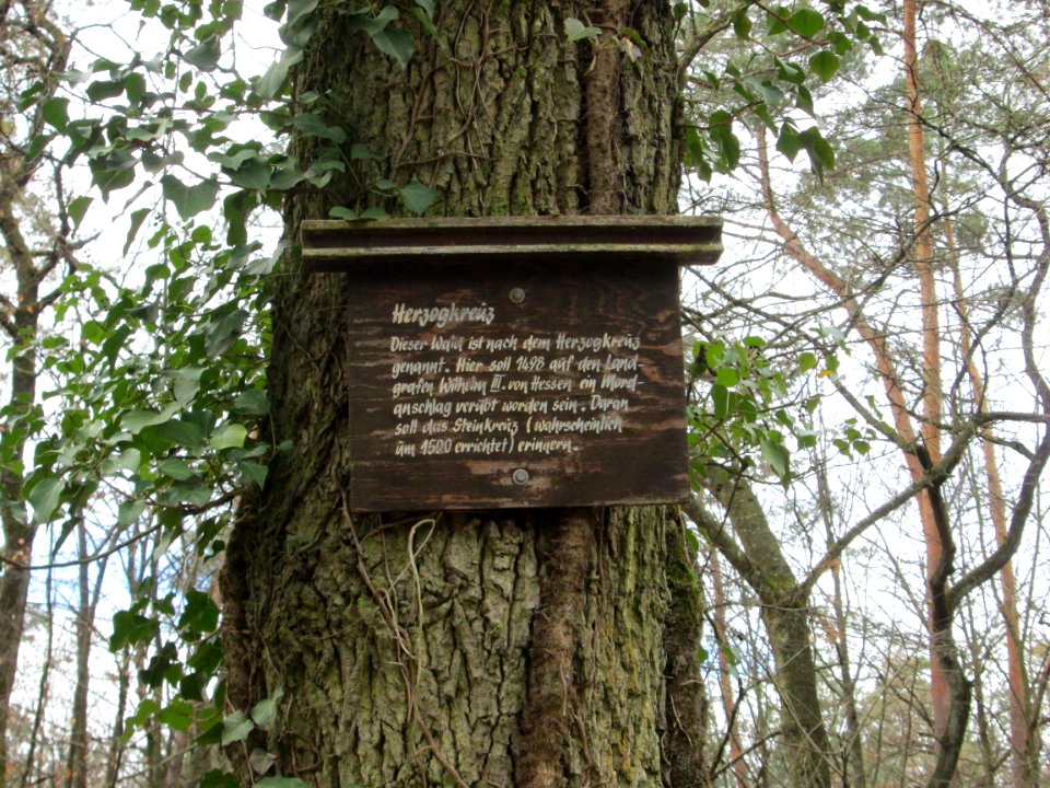 20190313_Herzogkreuz_3