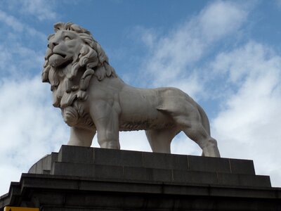 Lion london image